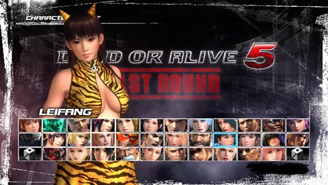 DEAD OR ALIVE 5 Last Round Leifang Halloween Costume 2014
