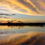 Amazon Landscapes PREMIUM