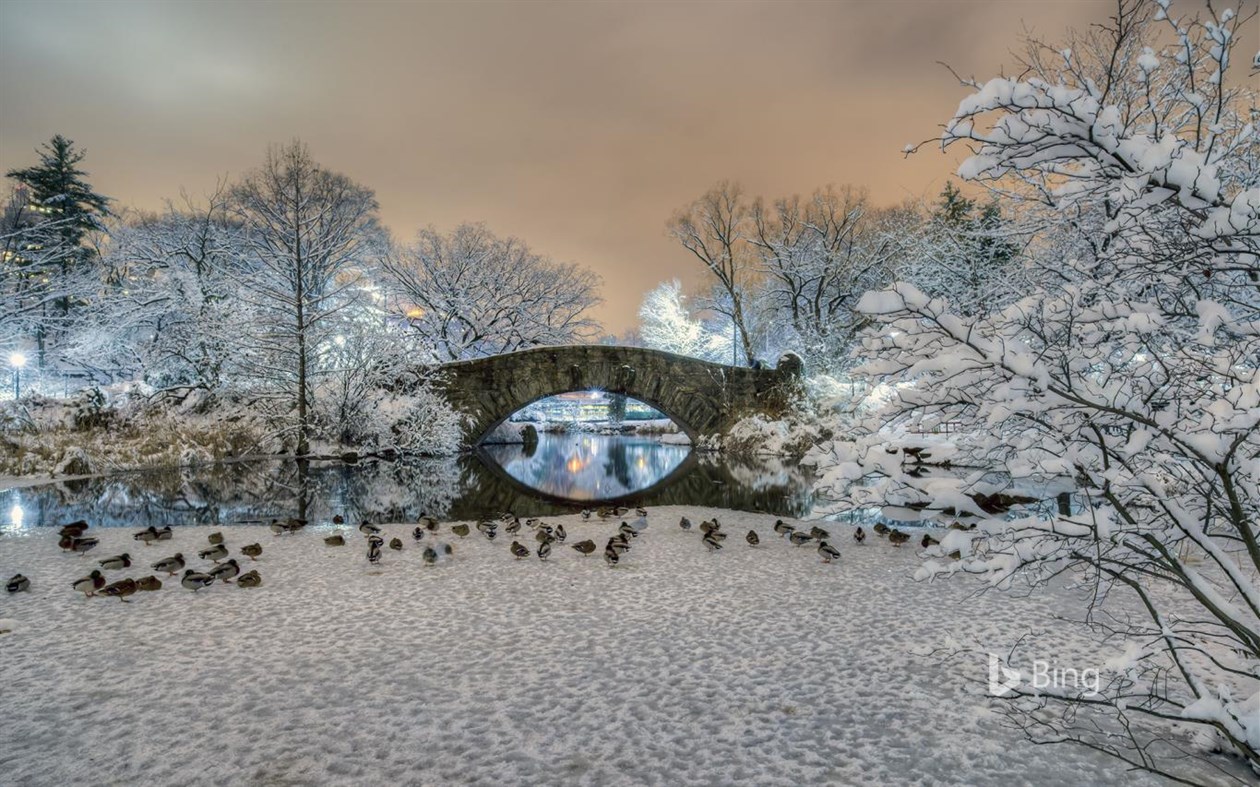 #2. Bing in Winter (Windows) 由: Microsoft Corporation