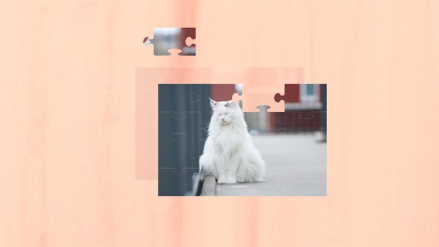 Jigsaw Puzzle Sleepy Cats screenshot 2