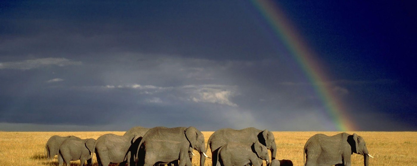 Tanzania Wallpaper New Tab marquee promo image