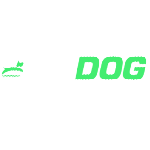 goDog Fetch