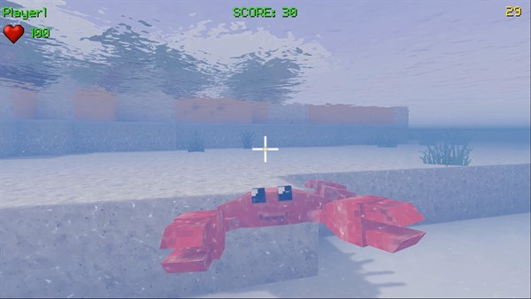 BlockRoxx Pirates — 9