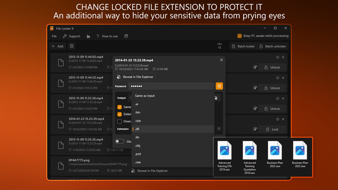 #2. File Locker X - Password Protect Files (Windows) 由: Lay Lab