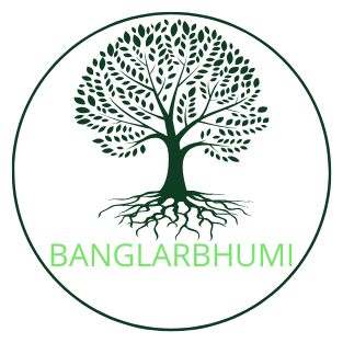 Banglar Bhumi OCR Extension icon