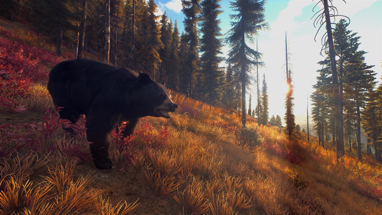 Way of the Hunter screenshot 10
