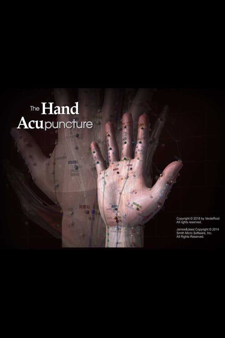 Hand Acupuncture