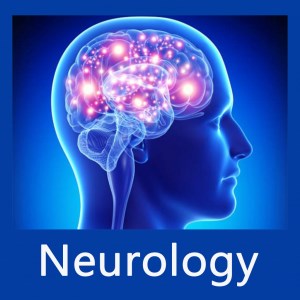 Easy Guide to Neurology - Become Neurology Expert