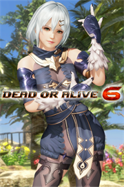 Купить ключ дешево DOA6 и Atelier Ryza. NiCO и Лила