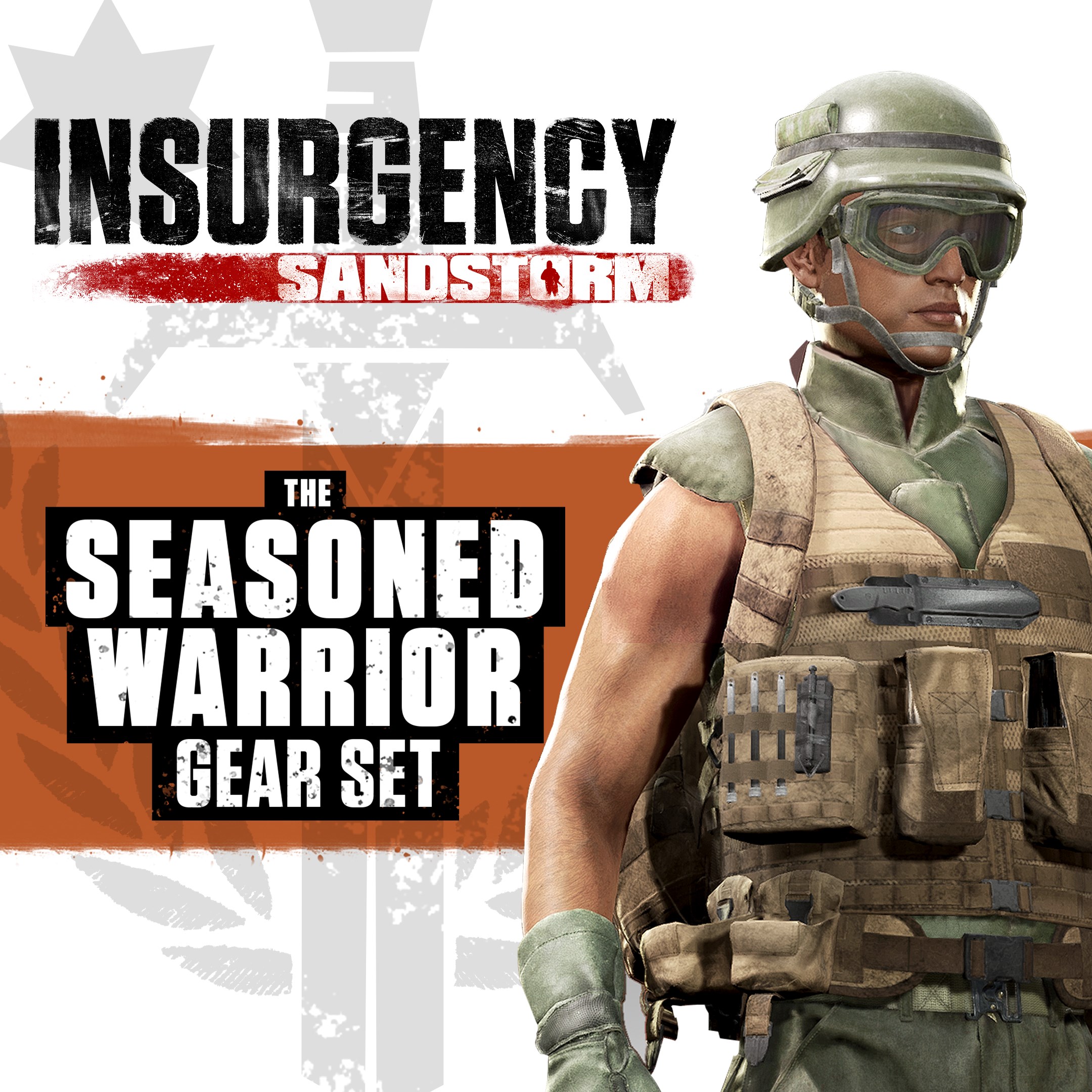 Insurgency: Sandstorm - Seasoned Warrior Gear Set