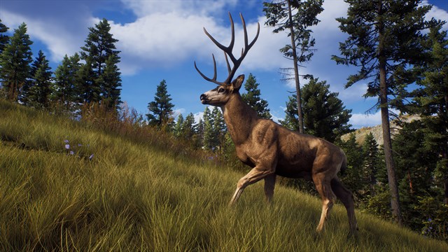 Way of the Hunter: Elite Edition screenshot 2