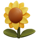 Sunflower HD Wallpapers icon