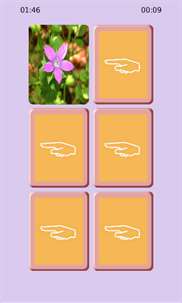 Flower Matching screenshot 1