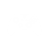 Controller X