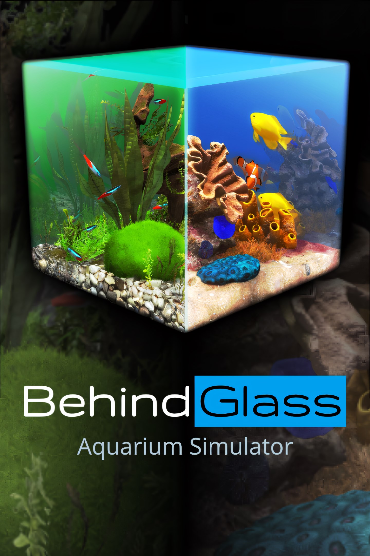 78b5457b-d219-3acb-ce89-b9167ff41249