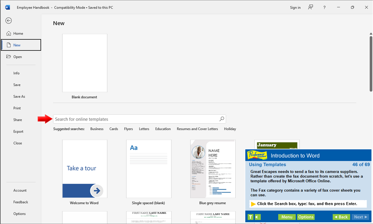 #4. Professor Teaches Word 2021 (Windows) 由: Individual Software Inc.