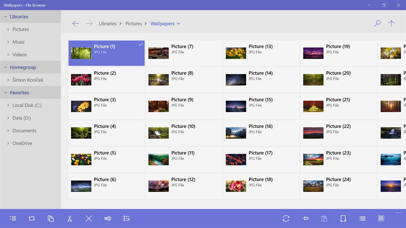 File Browser 10.3 full