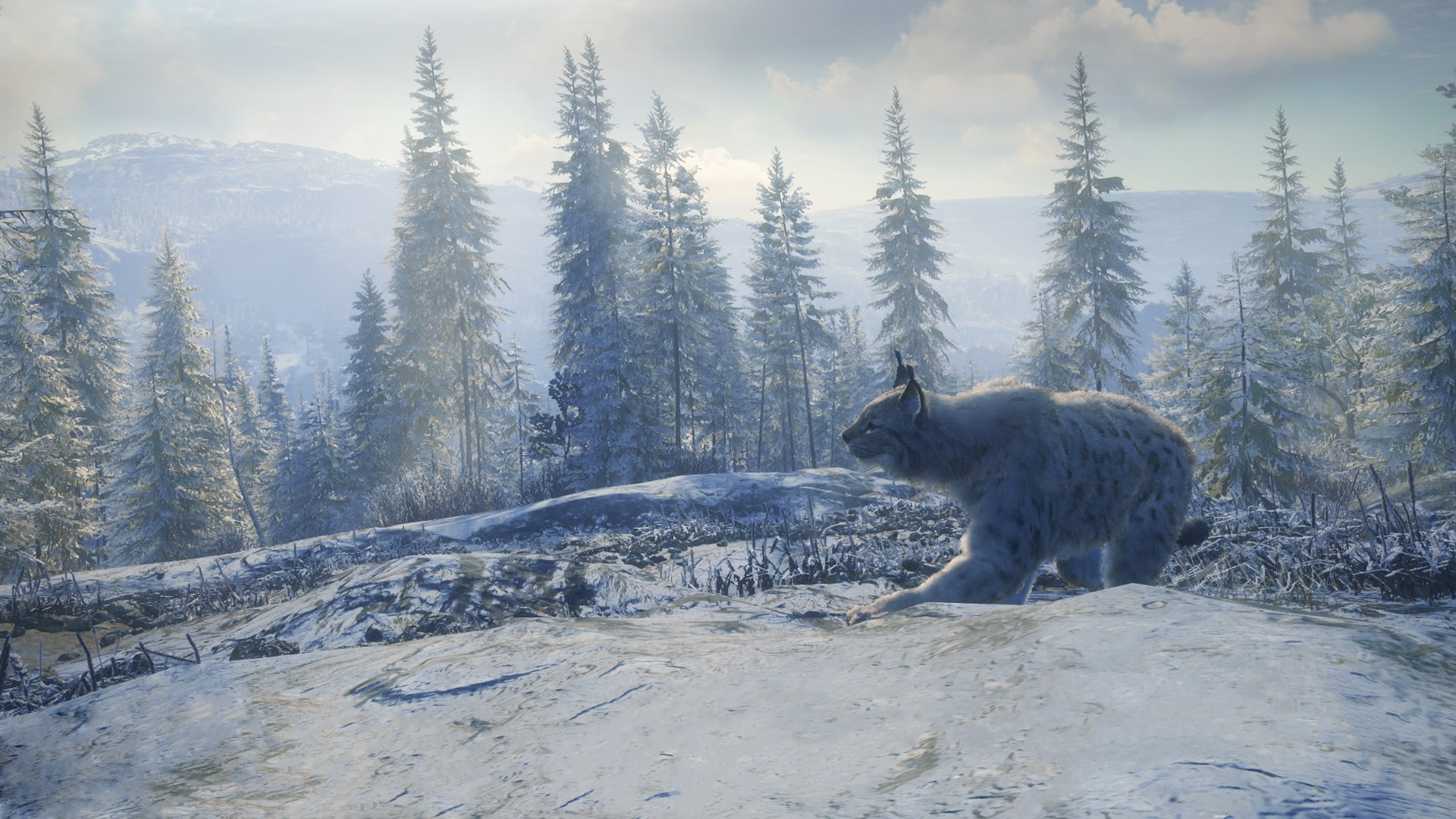 Buy Thehunter Call Of The Wild Medved Taiga Microsoft Store En Gb