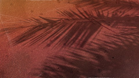 skate.™ - シーズン3 スターターパック