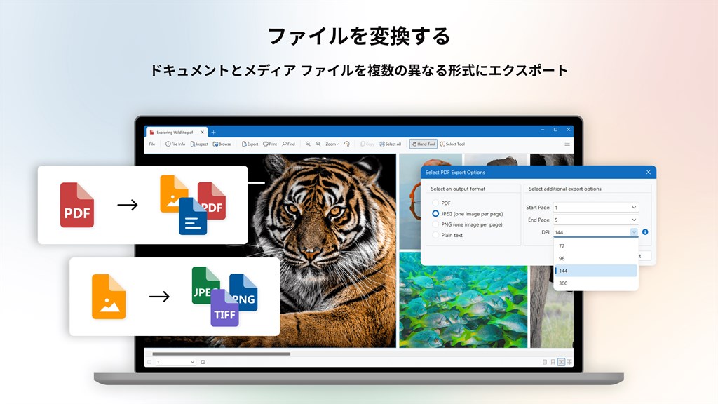 File Viewer Plus_5