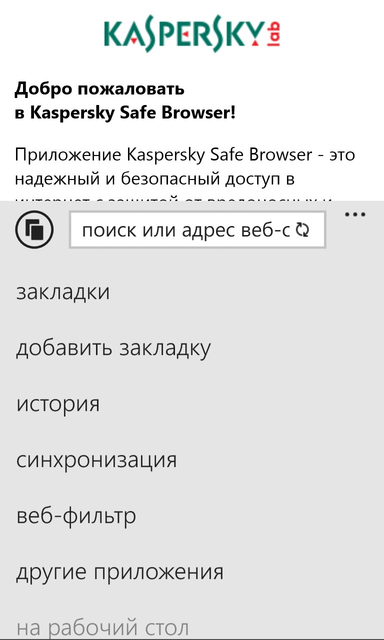 Kaspersky Safe Browser Screenshot