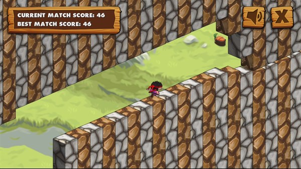 Ninja Dash 3D — 3