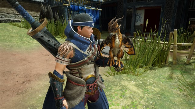 "Li'l Wingdrake" Cohoot outfit screenshot 1