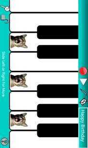 Cat Piano screenshot 1