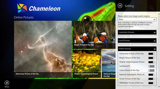 Chameleon screenshot 2