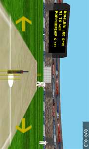 T-10 Cricket Game screenshot 1