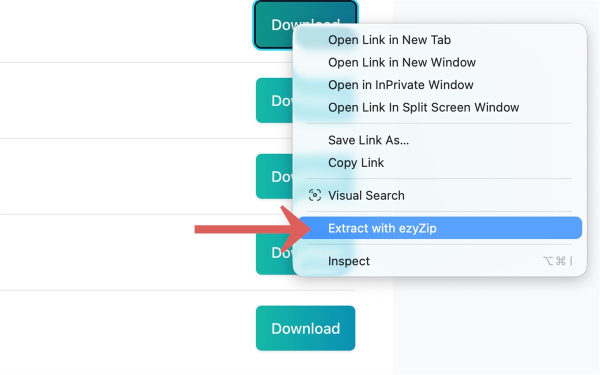 ezyZip File Extractor