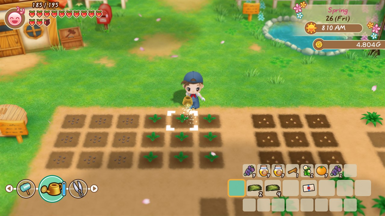 STORY OF SEASONS: Friends of Mineral Town - Windows Edition screenshot 1