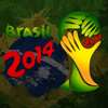 Brazil 2014 Schedule