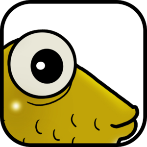 Mudfish - HTTP Proxy