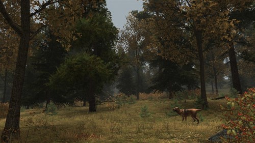 Walden, a game