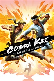 Cobra Kai: The Karate Kid Saga Continues