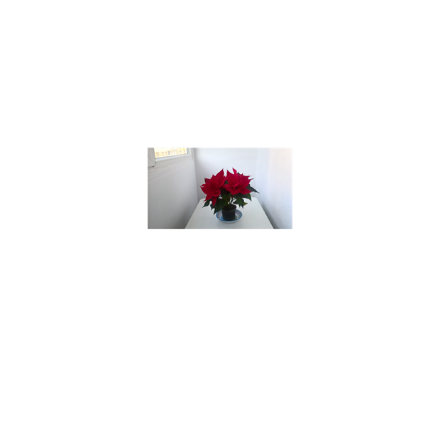 Health_past_present_future_UW