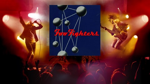 "Enough Space" - Foo Fighters