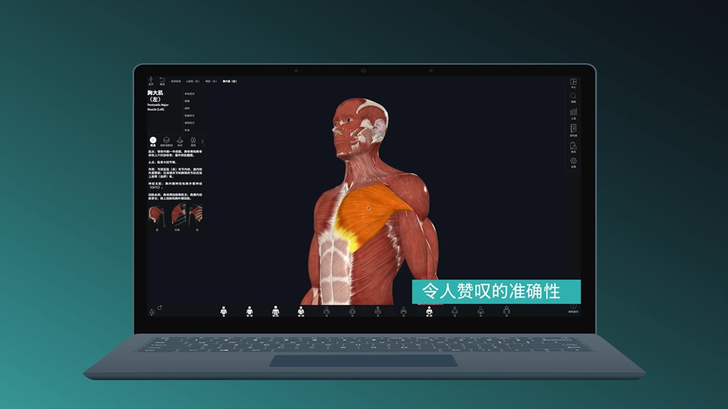 Complete Anatomy 2024 - Microsoft Apps