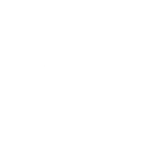 Video X Player