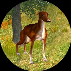 Dog Survival RPG Simulator