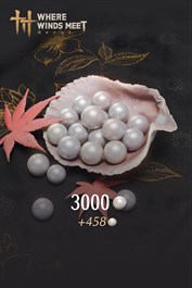 Where Winds Meet-3000 Echo Beads