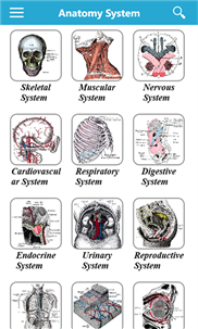 Gray's Anatomy Lite screenshot 2