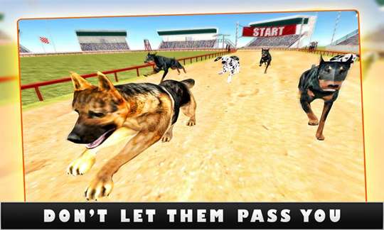 Greyhound K9 Dog Racing Sprint screenshot 1