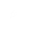 FS Video