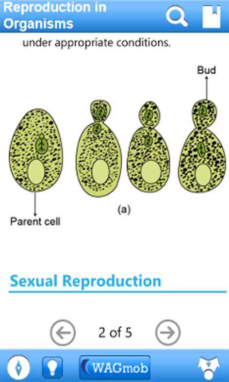 Grade 12 Biology Screenshots 1