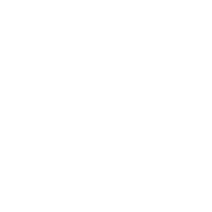 Readiy Pro