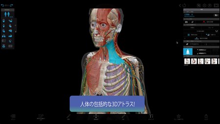 MRI断層解剖アトラス 第2版〈3Dで見る骨と筋〉CD-ROM付 (3D