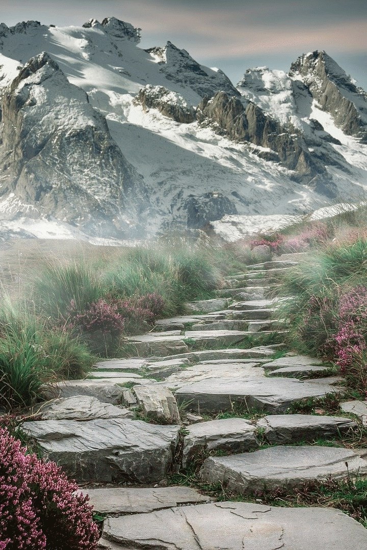 Nature Wallpapers & Backgrounds