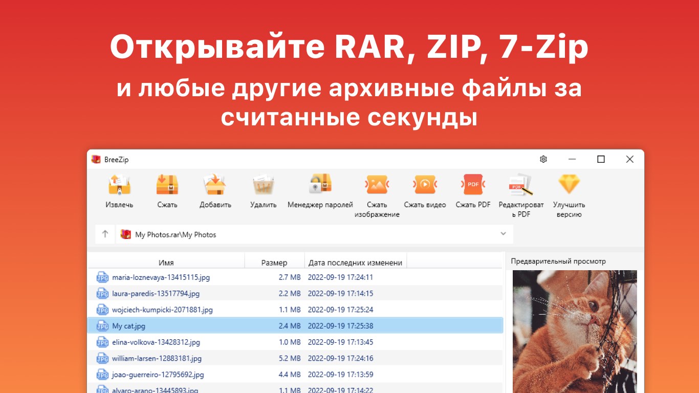 Breezip распаковщик rar